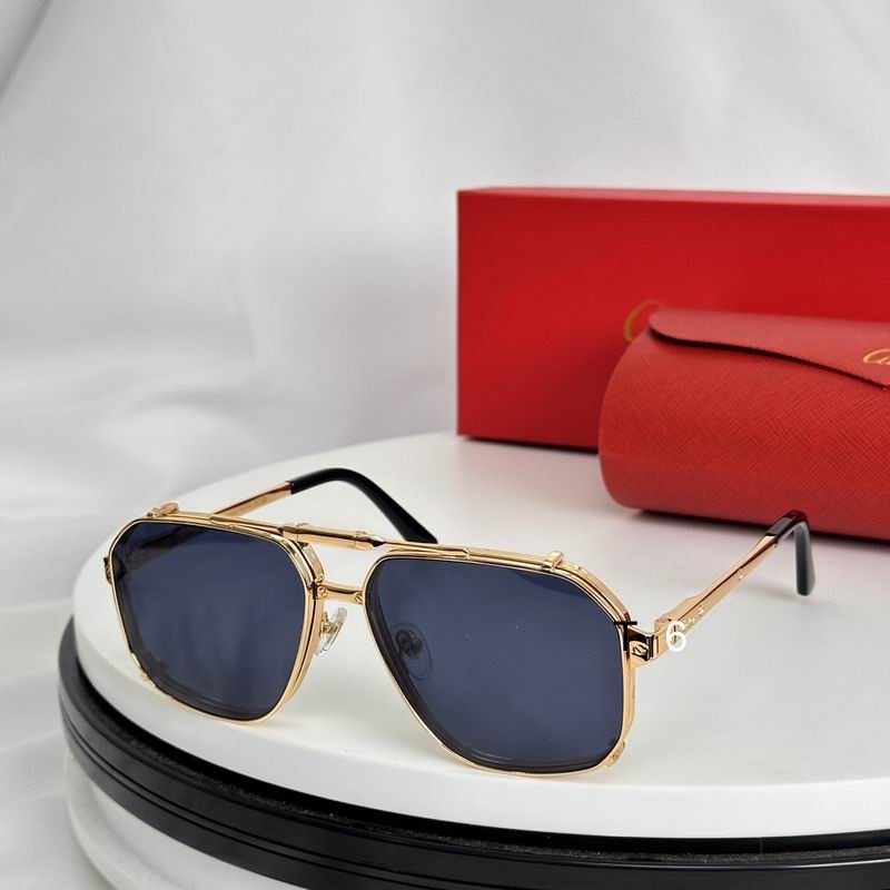 Cartier Sunglasses 527